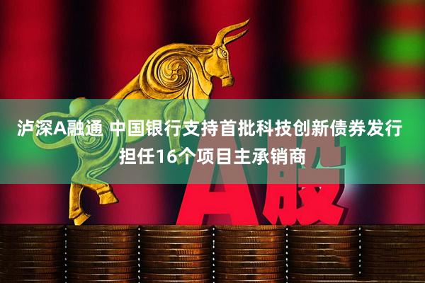 泸深A融通 中国银行支持首批科技创新债券发行 担任16个项目主承销商