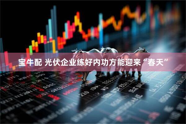宝牛配 光伏企业练好内功方能迎来“春天”