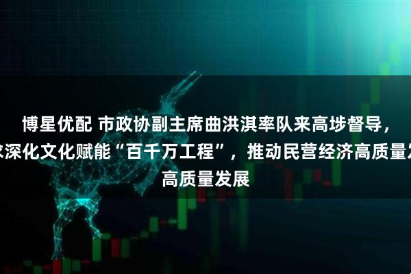 博星优配 市政协副主席曲洪淇率队来高埗督导，要求深化文化赋能“百千万工程”，推动民营经济高质量发展