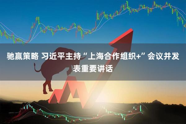 驰赢策略 习近平主持“上海合作组织+”会议并发表重要讲话