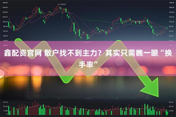 鑫配资官网 散户找不到主力？其实只需瞧一眼“换手率”
