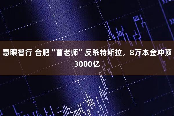 慧眼智行 合肥“曹老师”反杀特斯拉，8万本金冲顶3000亿