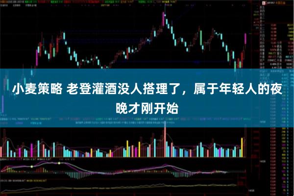 小麦策略 老登灌酒没人搭理了，属于年轻人的夜晚才刚开始