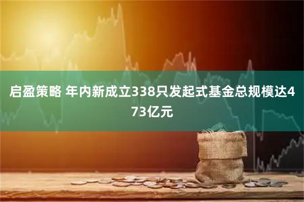 启盈策略 年内新成立338只发起式基金总规模达473亿元